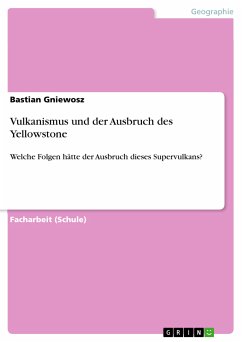 Vulkanismus und der Ausbruch des Yellowstone (eBook, ePUB) - Gniewosz, Bastian