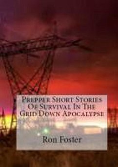 Prepper Short Stories Of Survival In The Grid Down Apocalypse (eBook, ePUB) - Foster, Ron