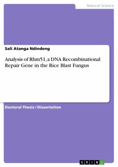 Analysis of Rhm51, a DNA Recombinational Repair Gene in the Rice Blast Fungus (eBook, ePUB)