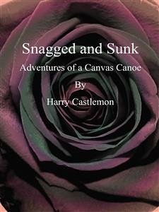 Snagged and Sunk (eBook, ePUB) - Castlemon, Harry