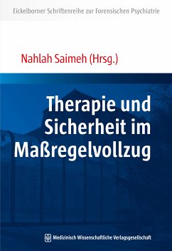 Therapie und Sicherheit im Maßregelvollzug (eBook, PDF)