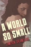 A World So Small (eBook, ePUB)