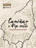 Camiñar o Vigo vello : un paseo pola historia da cidade