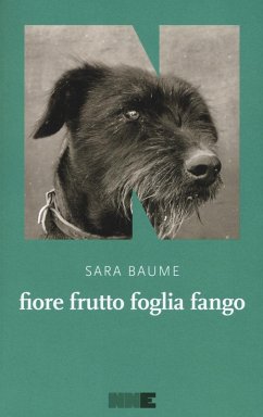 Cover Fiore frutto foglia fango