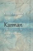 Karman (eBook, ePUB)