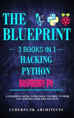 Raspberry Pi & Hacking & Python - Architects, Cyberpunk