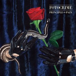 Principle Of Pain - Fotocrime