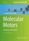 Molecular Motors