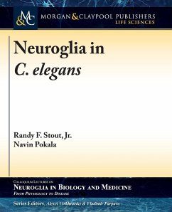 Neuroglia in C. elegans - Stout, Randy F. Jr.; Pokala, Navin