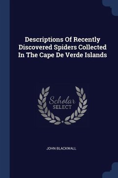 Descriptions Of Recently Discovered Spiders Collected In The Cape De Verde Islands