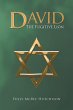 David - Bild 1