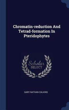 Chromatin-reduction And Tetrad-formation In Pteridophytes - Calkins, Gary Nathan