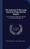 The Anatomy Of The Large American Fluke (fasciola Magna)
