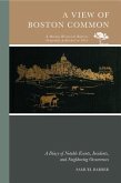 A View of Boston Common: A Diary of Notable Events, Incidents, and Neighboring Occurences