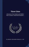 Three Cities: Davenport, Rock Island, and Moline: Their Location, Industrial Enterprise ...