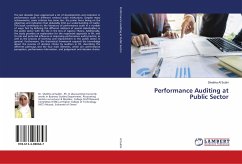 Performance Auditing at Public Sector