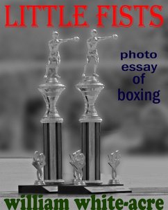 Cover Little Fists (eBook, ePUB)