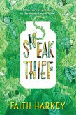 Sneak Thief (eBook, ePUB)
