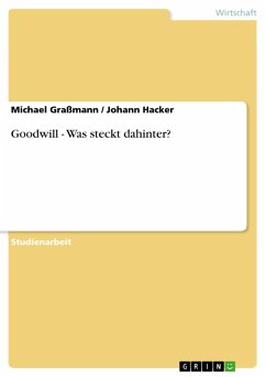 Goodwill - Was steckt dahinter? (eBook, ePUB) - Graßmann, Michael; Hacker, Johann