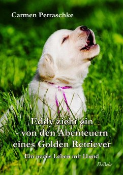 Eddy zieht ein - von den Abenteuern eines Golden Retriever - Ein neues Leben mit Hund - Petraschke, Carmen