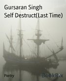 Self Destruct(Last Time) (eBook, ePUB)