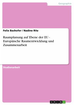 Raumplanung auf Ebene der EU - Europäische Raumentwicklung und Zusammenarbeit (eBook, ePUB)