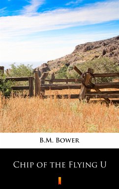 Chip of the Flying U (eBook, ePUB) - Bower, B.M.