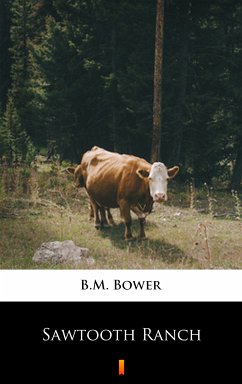 Sawtooth Ranch (eBook, ePUB) - Bower, B.M.