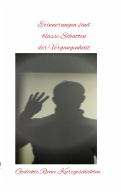 Erinnerungen sind blasse Schatten der Vergangenheit (eBook, ePUB)