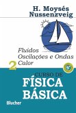Curso de física básica (eBook, PDF)
