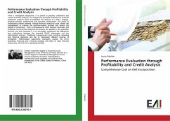 Performance Evaluation through Profitability and Credit Analysis - Erlacher, Lucas