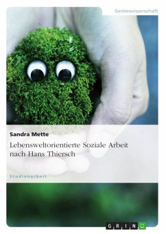 Lebensweltorientierte Soziale Arbeit (eBook, ePUB) - Mette, Sandra