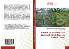 Culture en assiettes sous tapis vert: réhabiliter sol, forêt et climat - Pyame Mwarabu Lolonga, Dieudonne-Theophile;Baert, Geert;Mate Mweru, Jean-Pierre