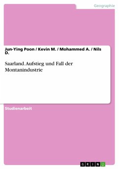 Saarland. Aufstieg und Fall der Montanindustrie (eBook, PDF)