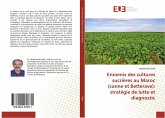 Ennemis des cultures sucrières au Maroc (canne et Betterave): stratégie de lutte et diagnostic