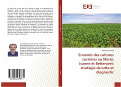 Ennemis des cultures sucrières au Maroc (canne et Betterave): stratégie de lutte et diagnostic - Nadif, Abdelmajid