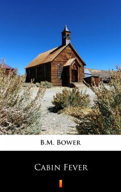 Cabin Fever (eBook, ePUB) - Bower, B.M.