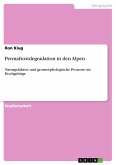 Permafrostdegradation in den Alpen (eBook, ePUB)