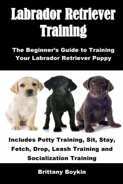 Labrador Retriever Training - Boykin, Brittany