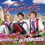 Wieder Blühen Die Alpenrosen