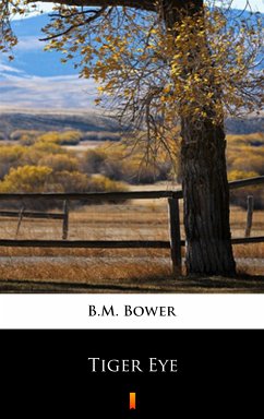 Tiger Eye (eBook, ePUB) - Bower, B.M.