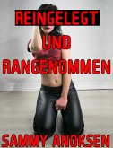 Reingelegt und rangenommen (eBook, ePUB)