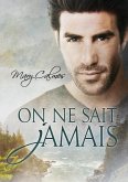 On ne sait jamais (eBook, ePUB)
