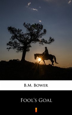 Fool’s Goal (eBook, ePUB) - Bower, B.M.