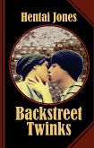 Backstreet Twinks (eBook, ePUB)