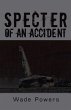 Specter of an Accident (eBook, ePUB) - Bild 1