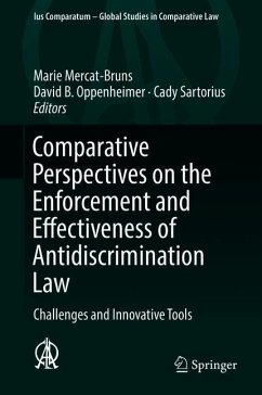 Comparative Perspectives on the Enforcement and Effectiveness of Antidiscrimination Law