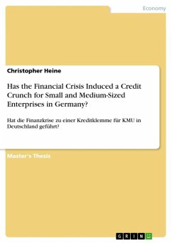 Has the Financial Crisis Induced a Credit Crunch for Small and Medium-Sized Enterprises in Germany? (eBook, ePUB)