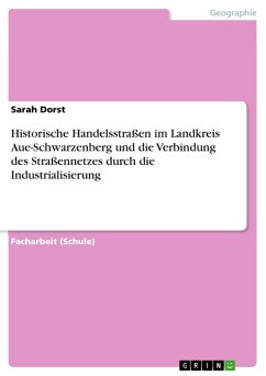 Historische Handelsstraßen im Landkreis Aue-Schwarzenberg und die Verbindung des Straßennetzes durch die Industrialisierung (eBook, ePUB)