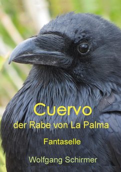 Cuervo ¿ der Rabe von La Palma